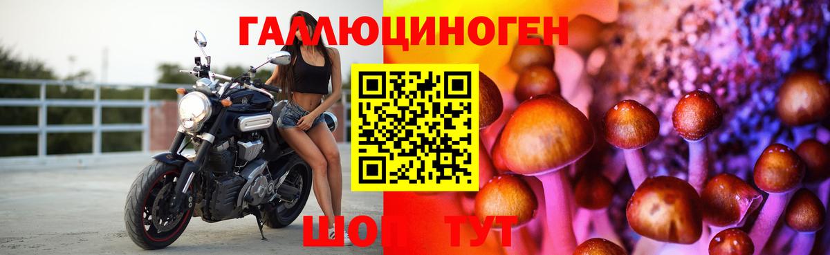 Валуйки  Галлюциногенные грибы MAGIC MUSHROOMS  Псилоцибиновые грибы GOLDEN TEACHER  Вход с VPN 